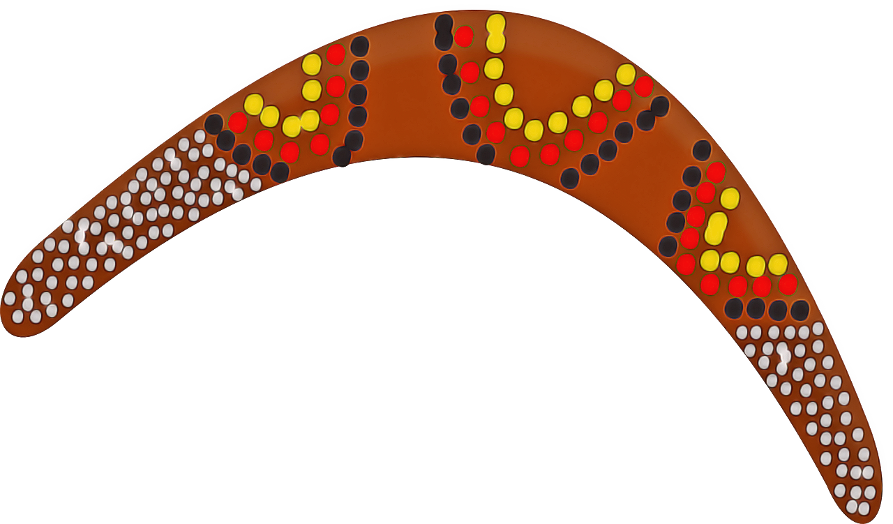 a boomerang